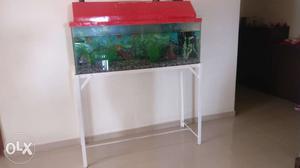 Aquarium with accessories n Fish