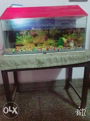 Aquarium with all things with 6 fish