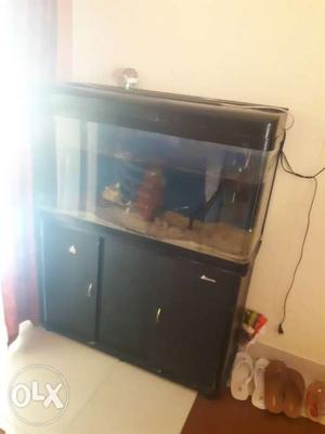 Black Wooden Framed Cabinet Fish Tank