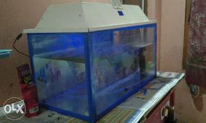 Complete aquarium 2.5×1 height 14 cm. urgent