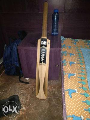 Cricket kit with GM bat..english willow ready to