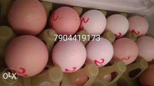 Desi eggs selling and buying