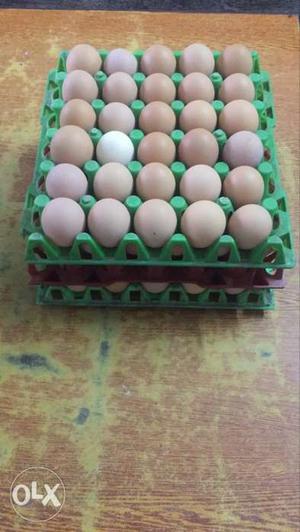 Dozen Of Chicken Eggs