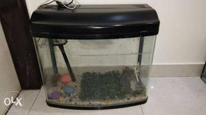 Fish Aquarium with good spaces