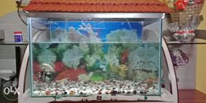 Fish Tank With Brown Metal Frame