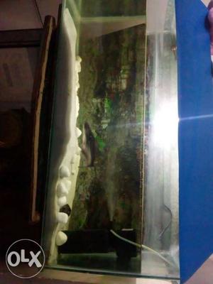 Fish aquarium for sale with big water filter and