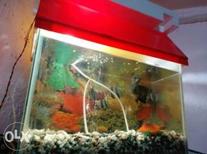 Fish aquarium good condition sale urgent