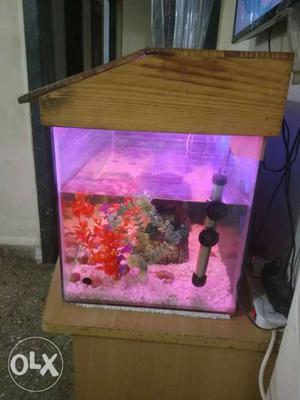Fish aquarium with wooden top with all