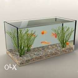 Fish tank with cap,filter,sand of 20 kg at very