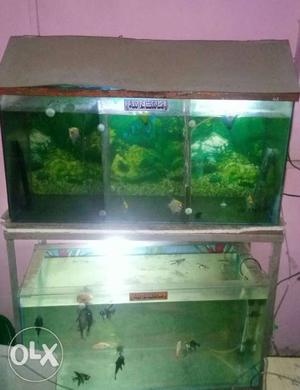 Fish tank with rack tank size 36lx15wx18h 2 tanks