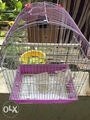 Grey And Pink Collapsible Pet Crate