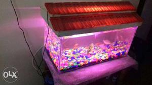New Fish tank full set.size  fresh