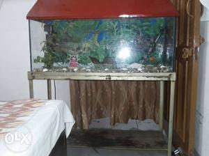 Red Coloured Rectangular Aquarium {FREE Stand and Free Water