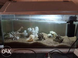 This is the 2 ft aquarium with sand, oxygen and