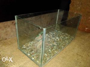 Used 5 years old aquarium. 1.5 ft Length, 10 inch