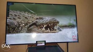 (11/3) Sony Led TV 50" UHD 4K With Warranty On Shop Best