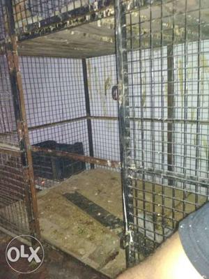 2 bird cage capacity 100 and 25.counter and