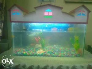 2 feet aquarium tank set