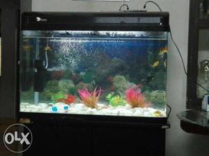 2.ft height 3.ft width good fish tank