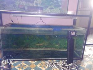 3 feet and 4 feet 2 fishtank with all accessories