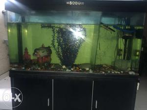 4 feet sobo aquarium in good condition with all
