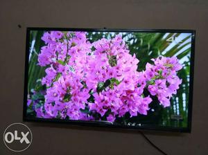 40 Sony Black Flat Screen Led TV brand new box pack with