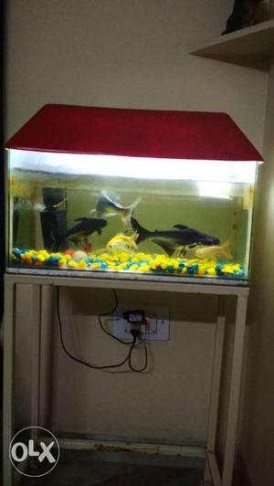 Aquarium 2feet with cover & stand