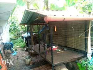 Big cage with two partions for dogs also can be