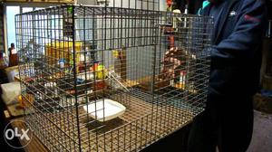 Bird cages Rs 900 each Jaipur Non rust Jali