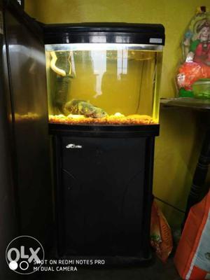 Fiber fish tank