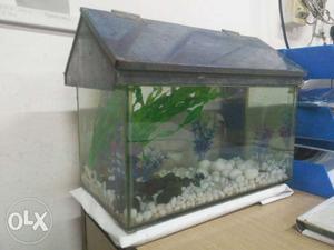 Fish Tank Bandra east bkc