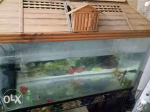 Fish aquarium and slow fish with stand very good