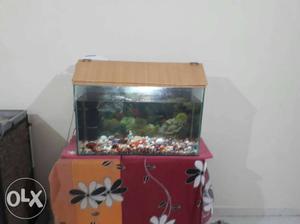 Fish tank with table cap,filter,light,fishes,food in