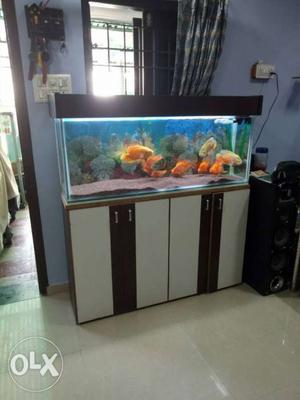 Important Fish Tank for sale 4 ft.
