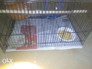Its new cage only 10days old