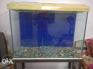 Rectangular Brown Framed Fish Tank