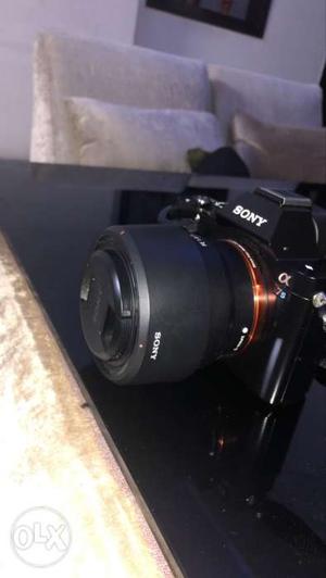 Sony lenses