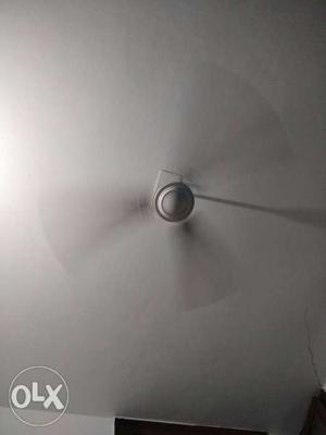 Bajaj ceiling fan 1year old working good grab
