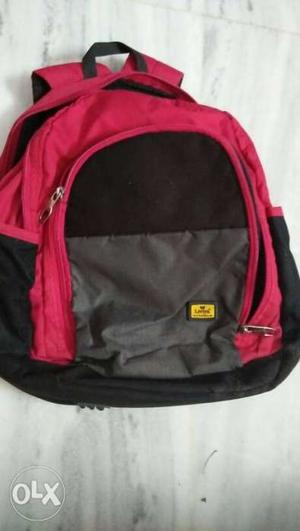 Black, Gray, And Red Leather Backpack