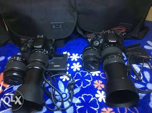 Canon DSLR for rent