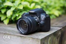 Canon d for rent [no long lens] 350 per day