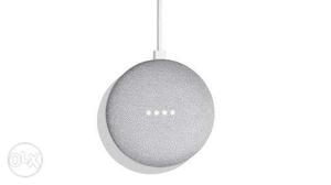 Google home Mini. Purchased in May .