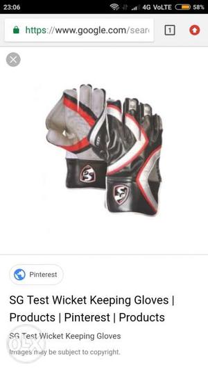 New SG test Wicket keeping glove
