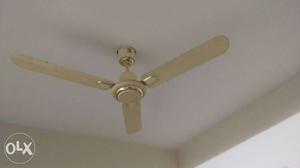White And Silver 3-blade Ceiling Fan
