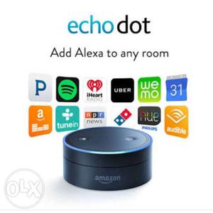 Amazon echo dot only 7 day old