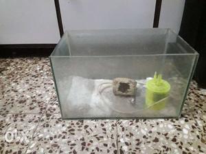 1.25 feet fish tank with filter,sand and 1kg