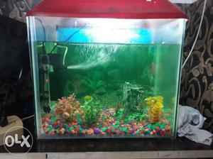 1.5 feet aquarium tank with all necessary