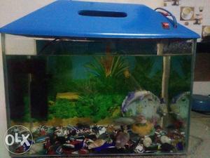 1.5ft Fish Aquarium With Power Head Filter And