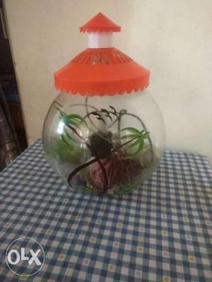 15 litre fish bowl with its filter, lamp, stone,