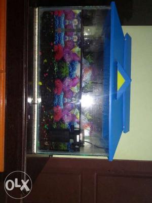 2 feet aquarium with roof and filter no fish